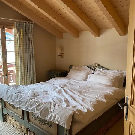 Daire Chalet Elizabeth Grindelwald